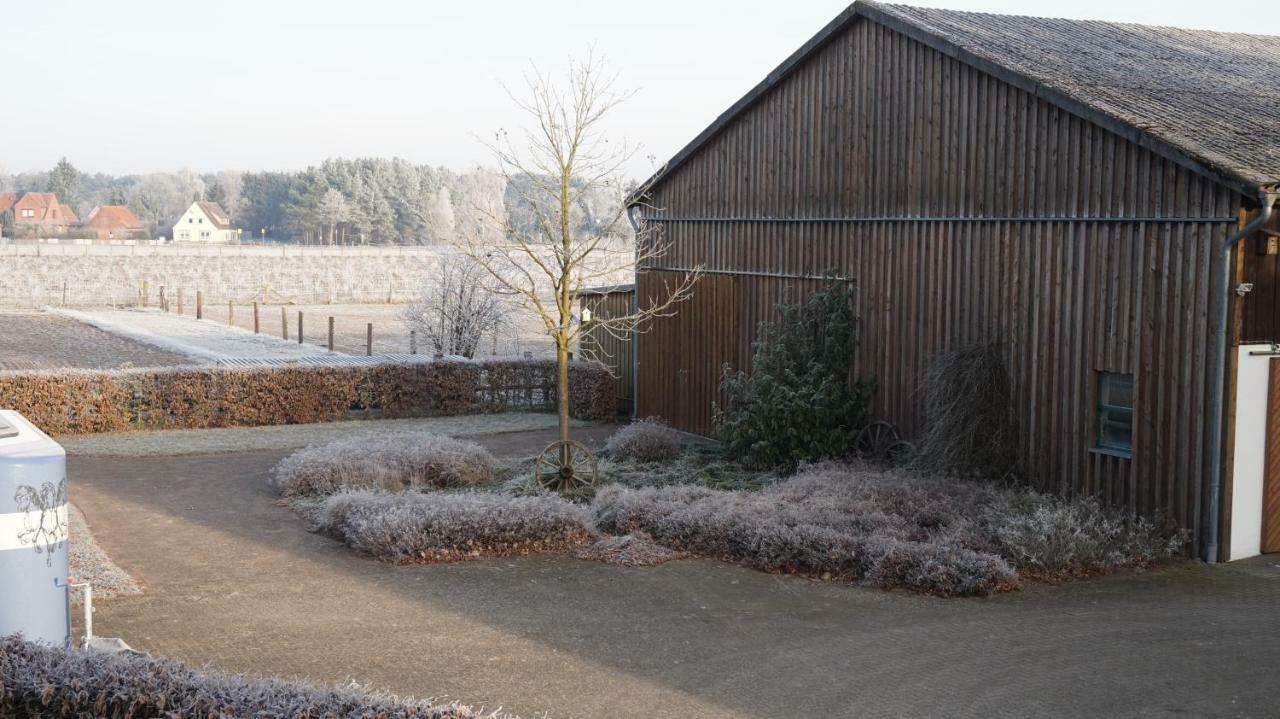 Ferienwohnung Wiesenblick Nahe Region Celle Und Hannover Buchholz Aller Kültér fotó